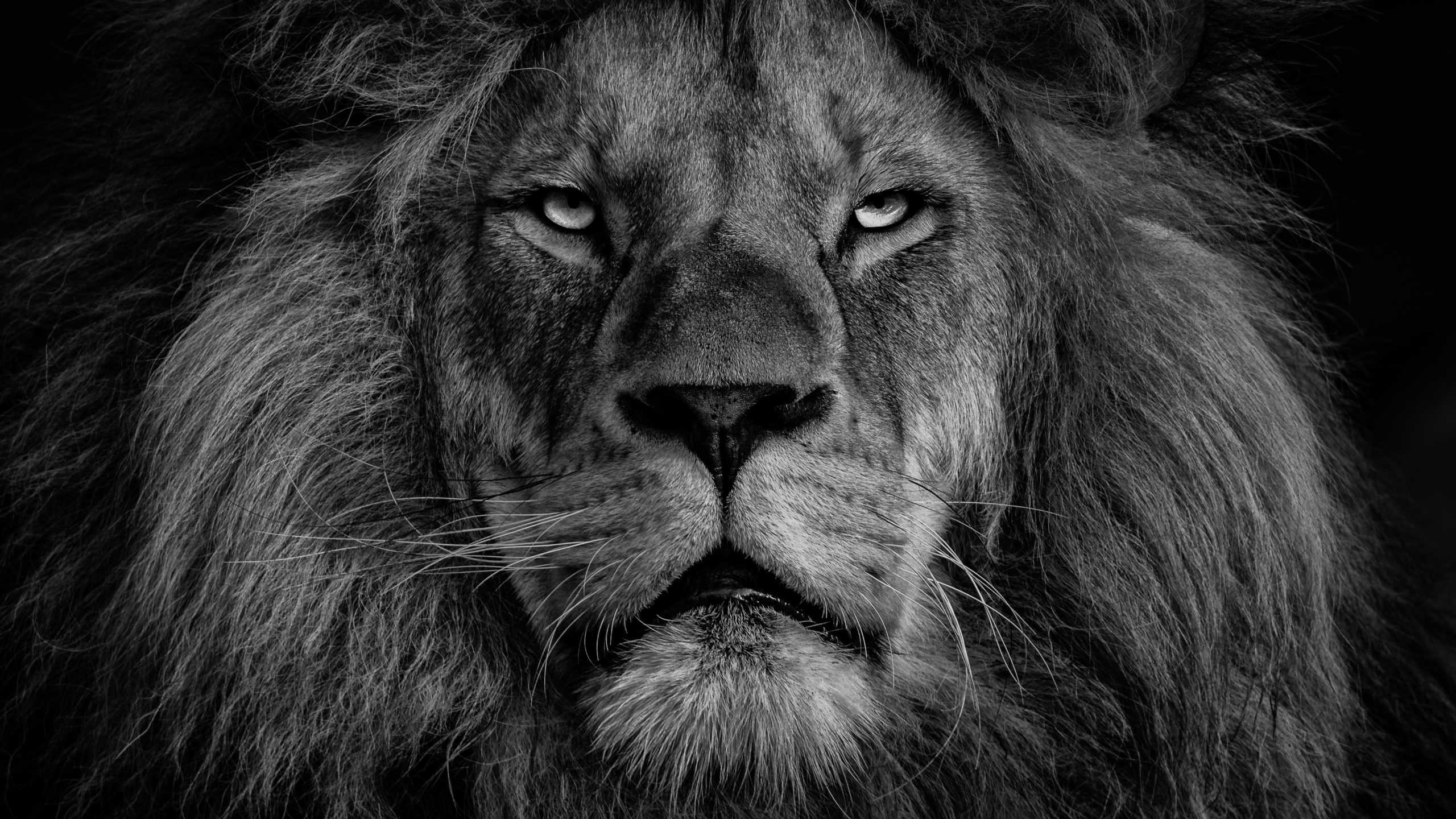 ヒロセ通商のLion FXのメリットについて